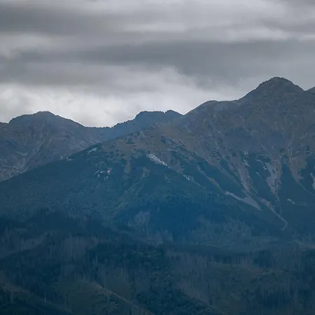 샬레 Matygowa Osada